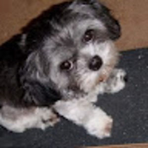 Meet your Posher, Lud-mila